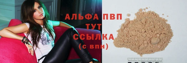 стаф Володарск