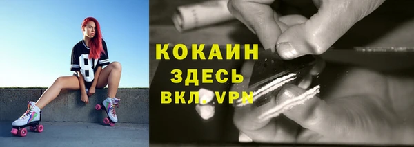 стаф Володарск