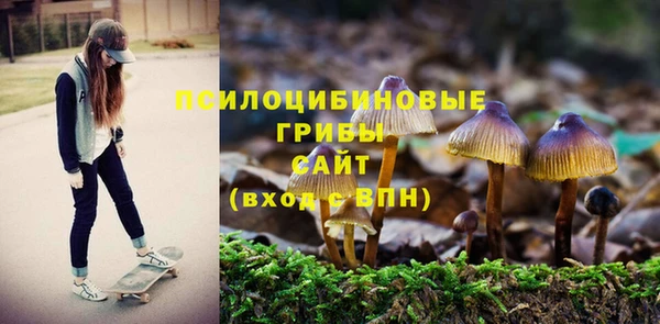 трава Волоколамск