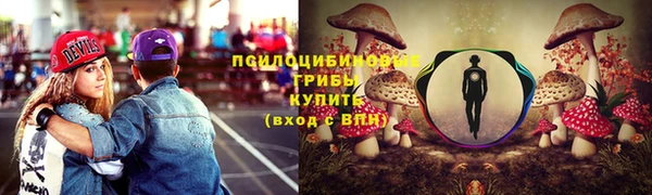 гашик Бугульма