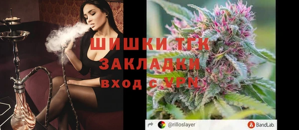 стаф Володарск